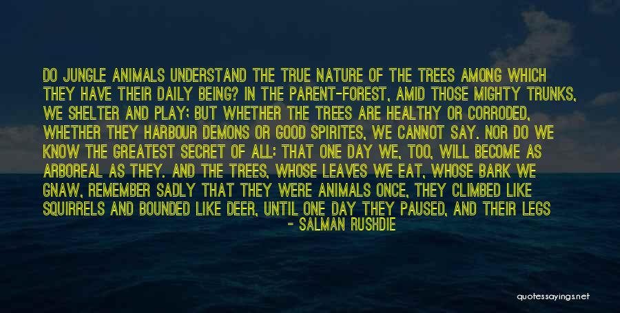 Jungle Forest Earth Nature Quotes By Salman Rushdie