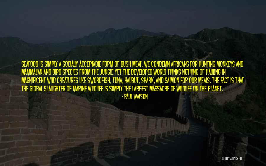 Jungle Meat Quotes By Paul Watson Jungle Meat Quotes By Paul Watson