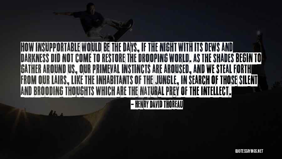 Jungle Quotes By Henry David Thoreau