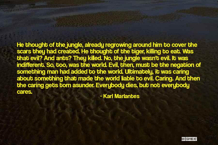 Jungle Quotes By Karl Marlantes