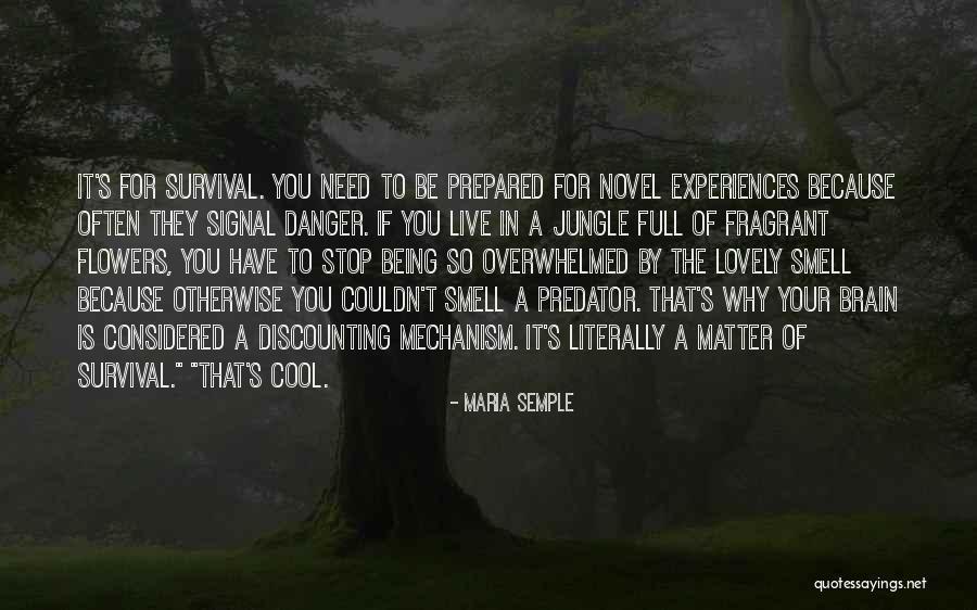 Jungle Quotes By Maria Semple