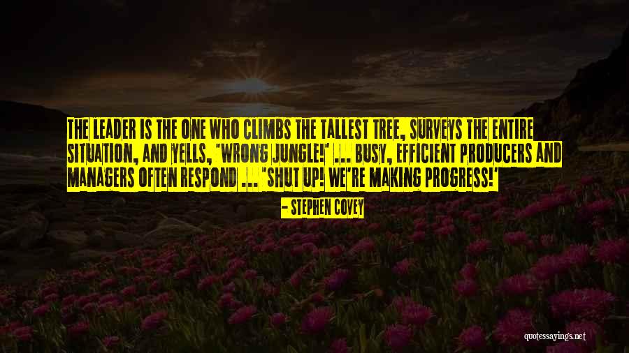 Jungle Quotes By Stephen Covey