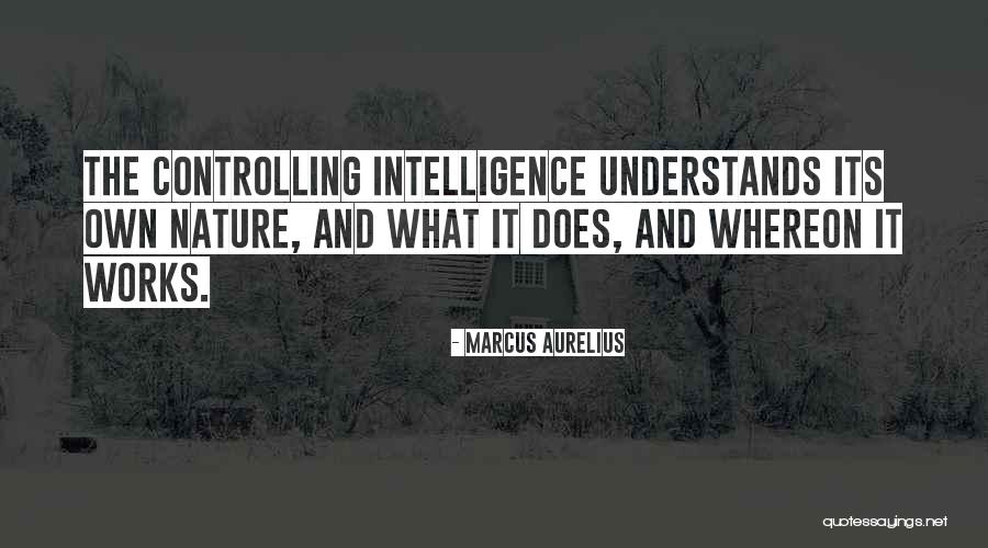 Jungle Resort Quotes By Marcus Aurelius Jungle Resort Quotes By Marcus Aurelius