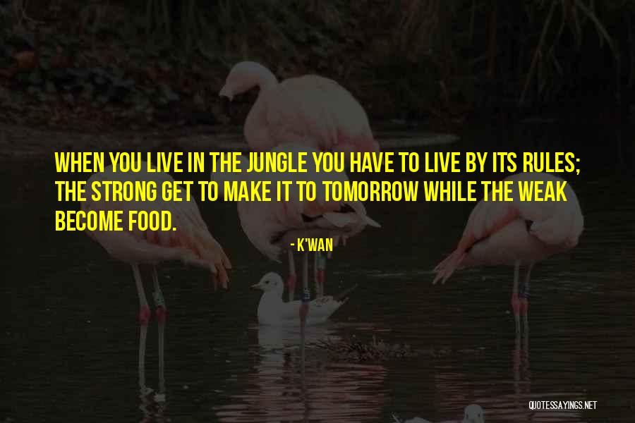 Jungle Rules Quotes By K'wan Jungle Rules Quotes By K'wan