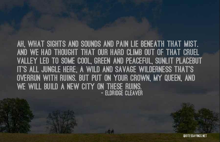Jungle Sounds Quotes By Eldridge Cleaver Jungle Sounds Quotes By Eldridge Cleaver