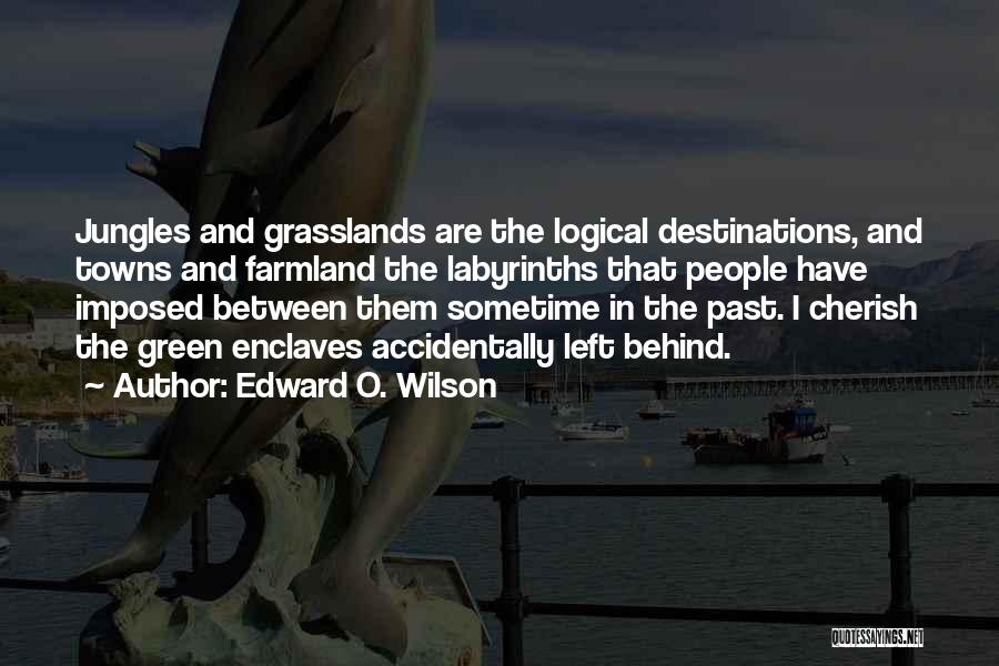 Jungles Quotes By Edward O. Wilson