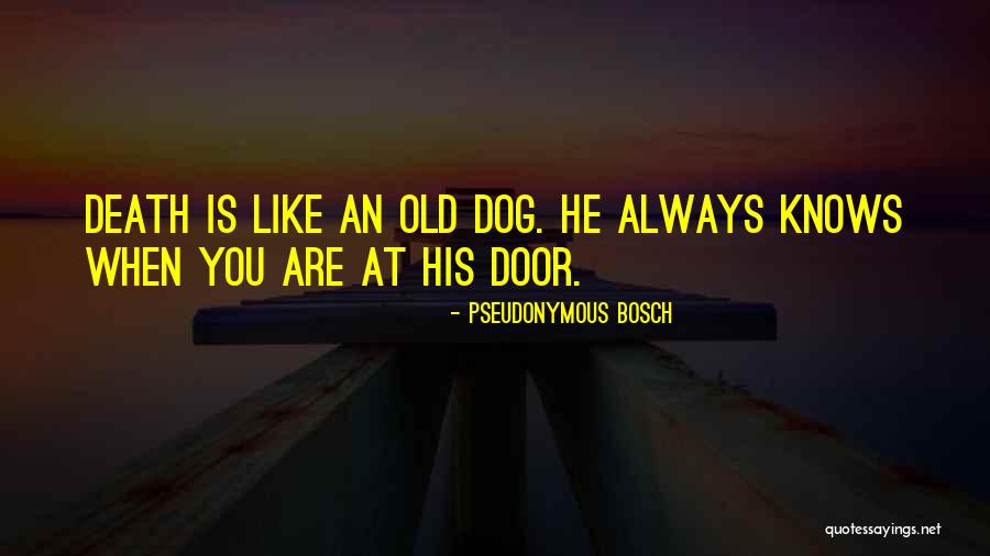 Jungmannova Quotes By Pseudonymous Bosch