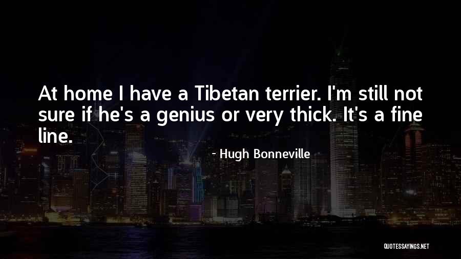 Junichiro Hill Quotes By Hugh Bonneville Junichiro Hill Quotes By Hugh Bonneville