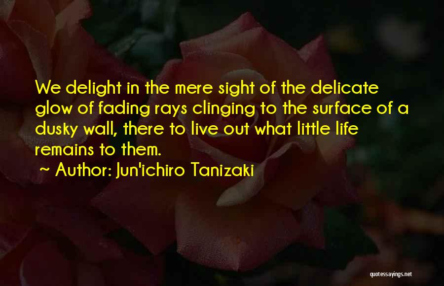 Jun'ichiro Tanizaki Quotes 249743