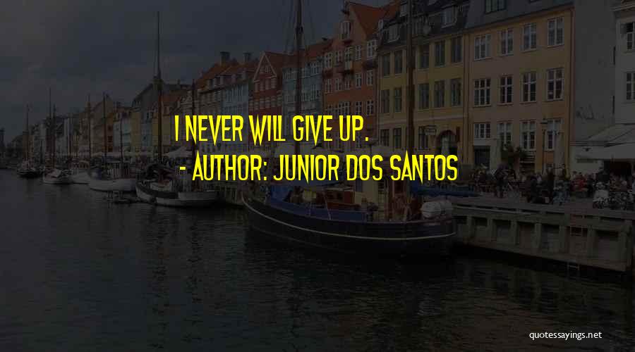Junior Dos Santos Quotes 1913543