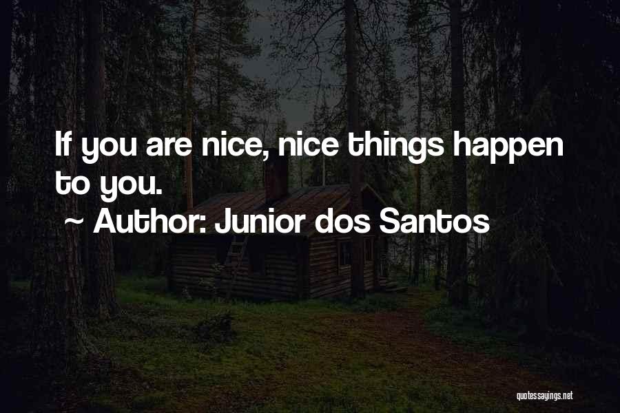 Junior Dos Santos Quotes 555718