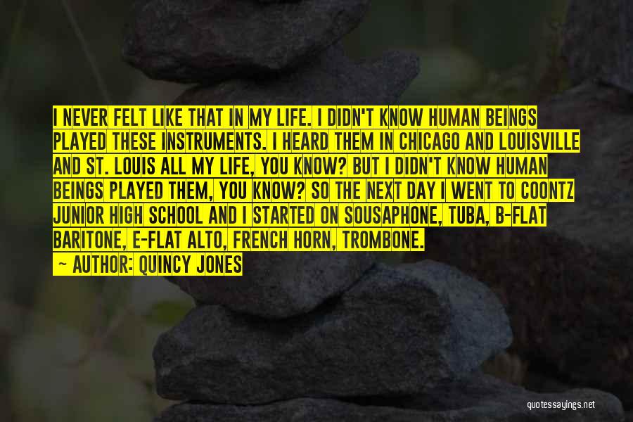 Junior High School Life Quotes By Quincy Jones