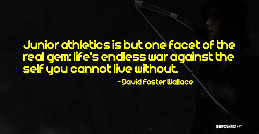 Junior Life Quotes By David Foster Wallace