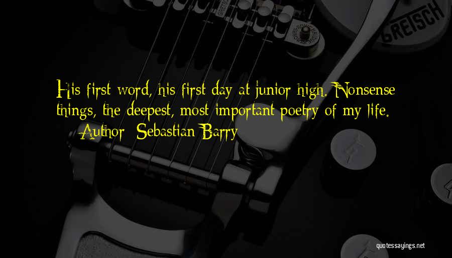 Junior Life Quotes By Sebastian Barry