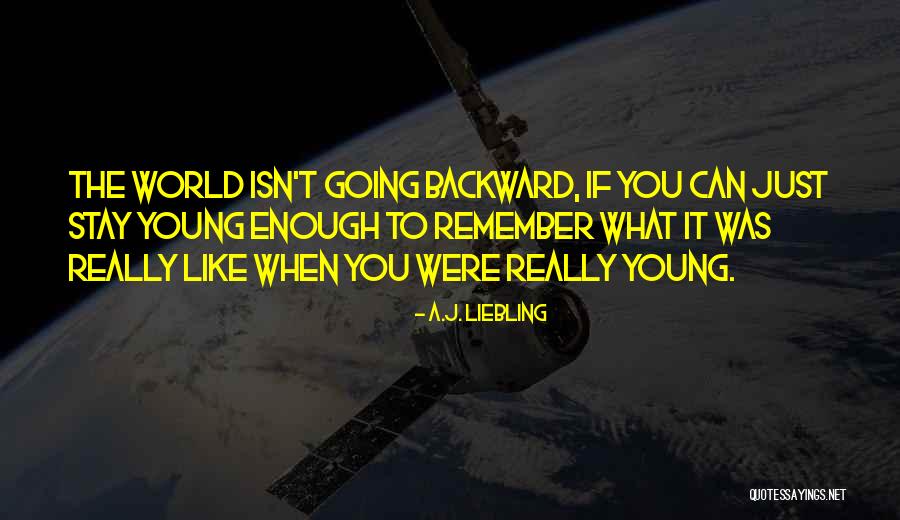 Junior Resources Quotes By A.J. Liebling Junior Resources Quotes By A.J. Liebling