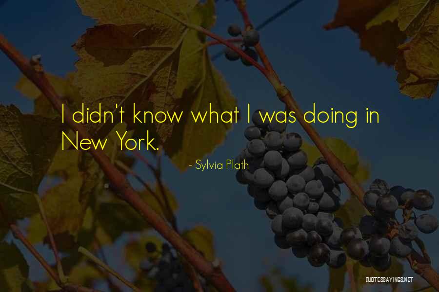 Junior Year Quotes By Sylvia Plath Junior Year Quotes By Sylvia Plath