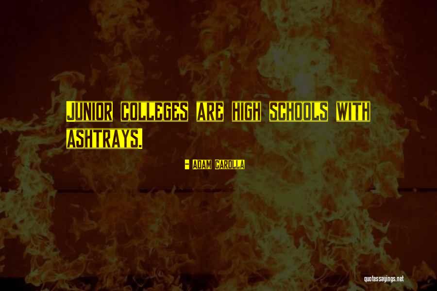 Juniors In College Quotes By Adam Carolla Juniors In College Quotes By Adam Carolla