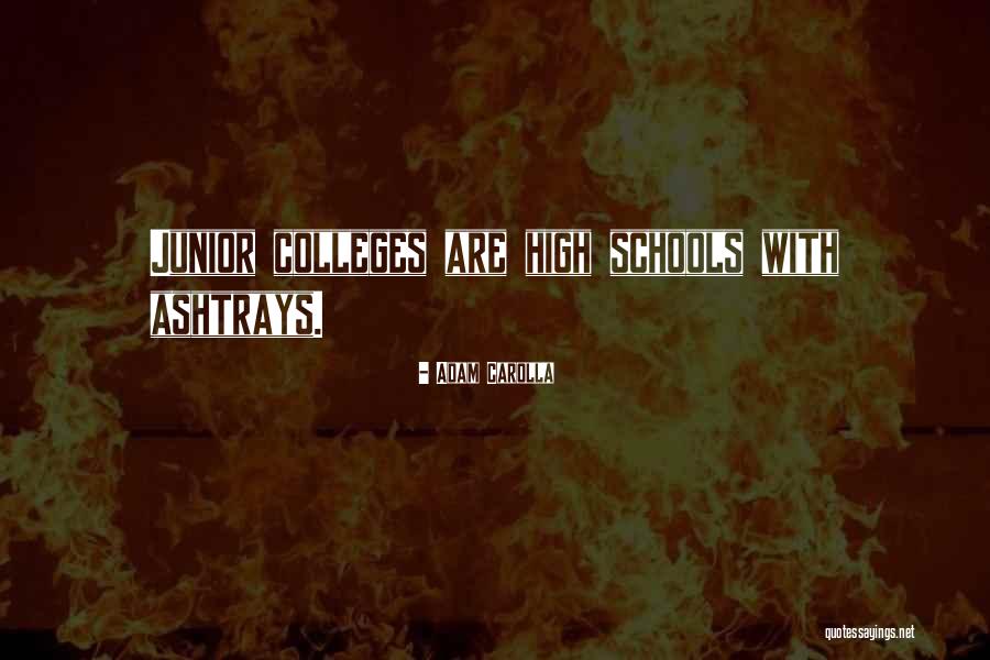 Juniors Quotes By Adam Carolla Juniors Quotes By Adam Carolla