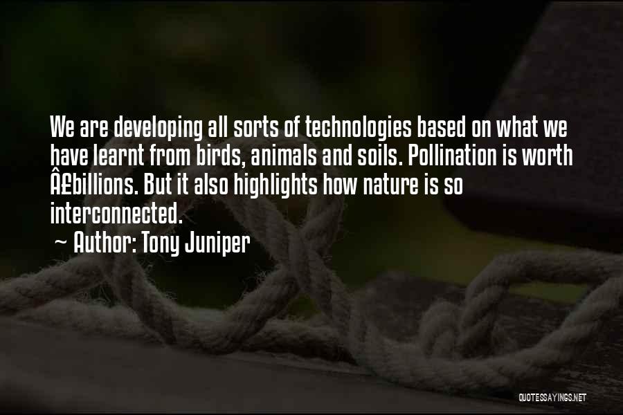 Juniper Quotes By Tony Juniper