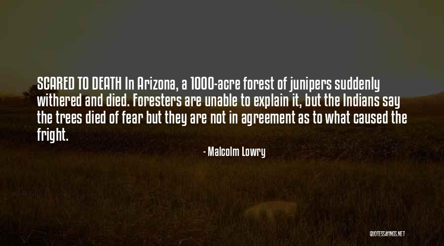 Junipers Quotes By Malcolm Lowry Junipers Quotes By Malcolm Lowry