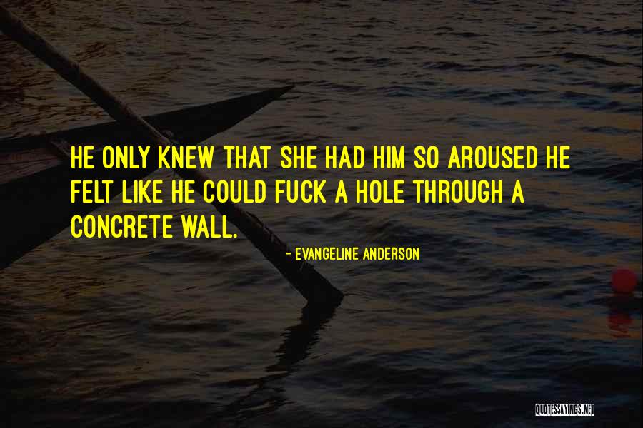 Junit Interview Quotes By Evangeline Anderson Junit Interview Quotes By Evangeline Anderson