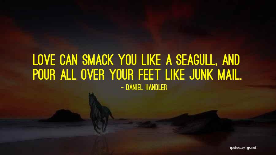 Junk Mail Quotes By Daniel Handler