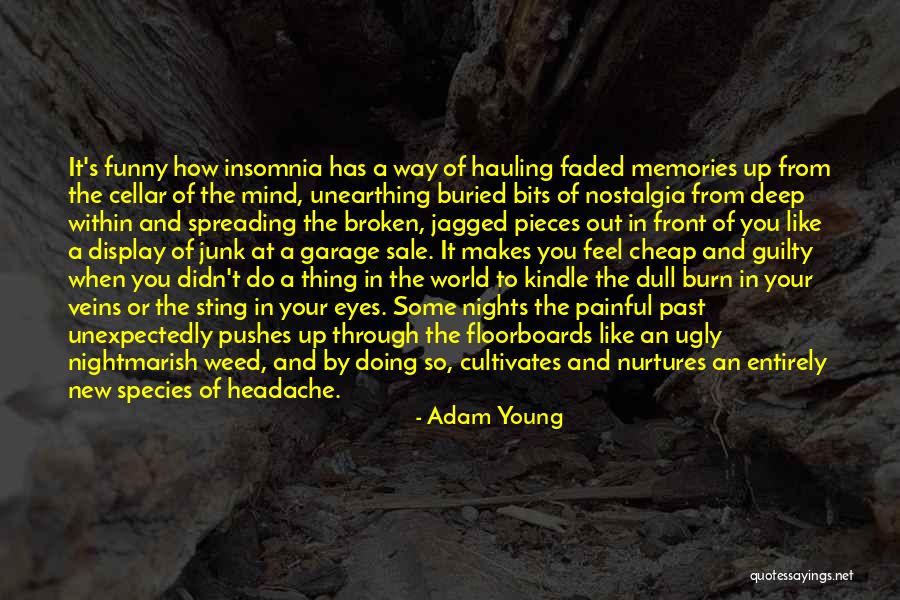 Junk Mind Quotes By Adam Young Junk Mind Quotes By Adam Young