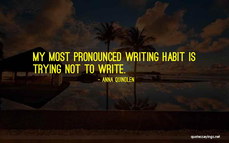 Junktimenc Quotes By Anna Quindlen