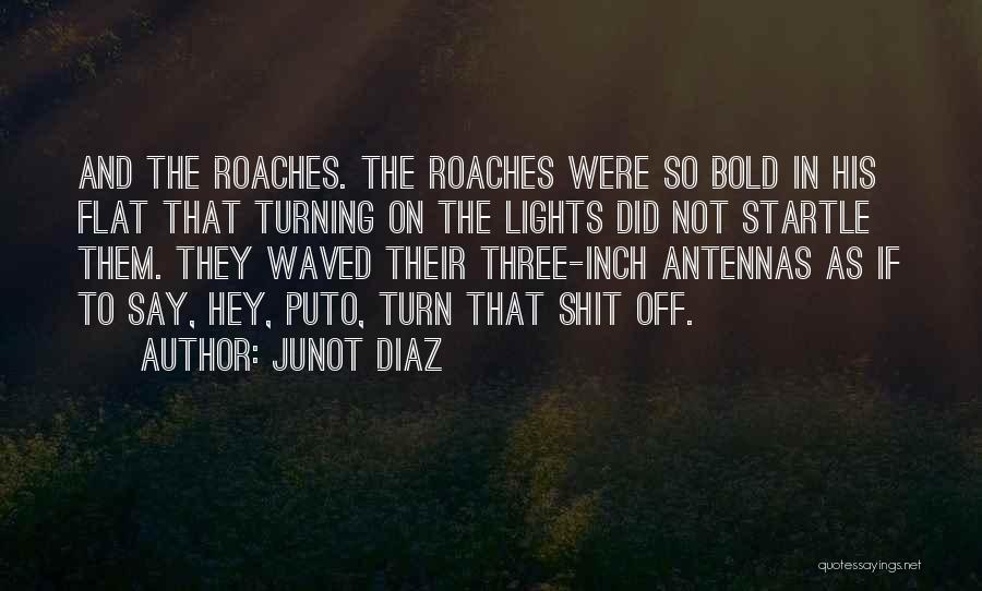 Junot Diaz Quotes 741034