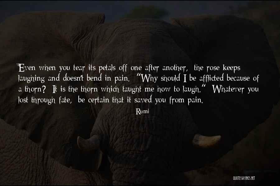 Junsuke Otsuka Quotes By Rumi Junsuke Otsuka Quotes By Rumi