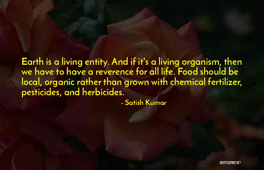 Junuzi Quotes By Satish Kumar Junuzi Quotes By Satish Kumar