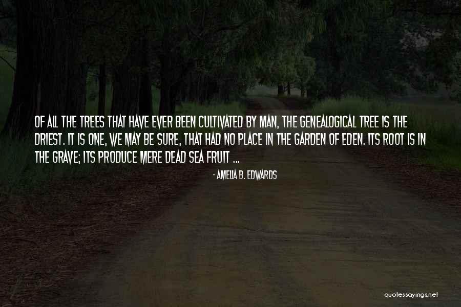 Jurisprudence In A Sentence Quotes By Amelia B. Edwards Jurisprudence In A Sentence Quotes By Amelia B. Edwards