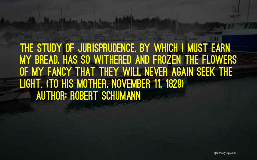 Jurisprudence Quotes By Robert Schumann