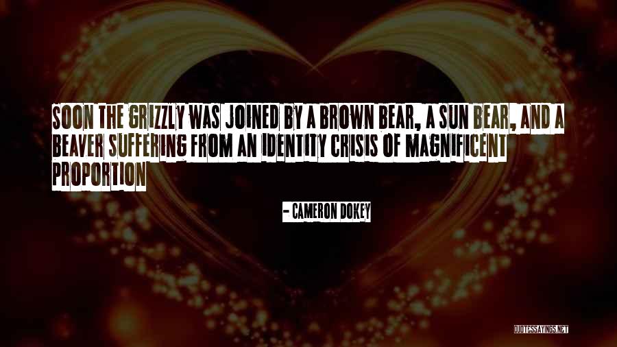 Juristsbar Online Quotes By Cameron Dokey Juristsbar Online Quotes By Cameron Dokey