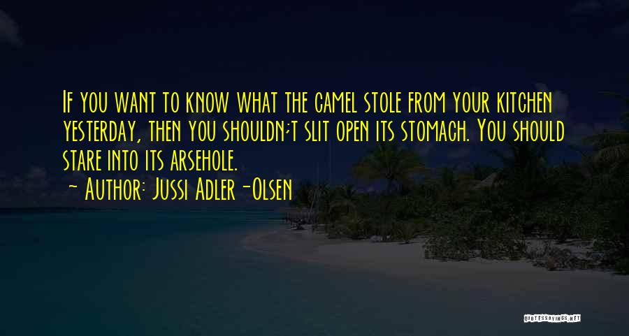 Jussi Adler-Olsen Quotes 1971686