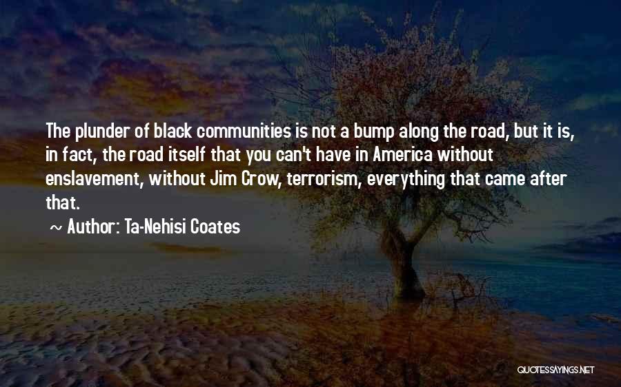 Just A Bump In The Road Quotes By Ta-Nehisi Coates