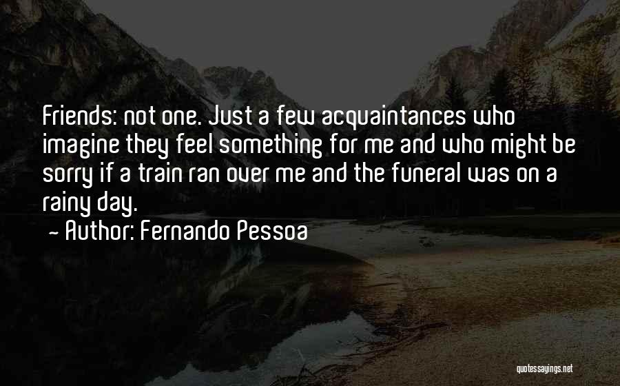 Just A Few Friends Quotes By Fernando Pessoa