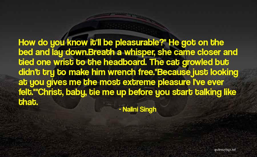 Just A Lay Quotes By Nalini Singh Just A Lay Quotes By Nalini Singh