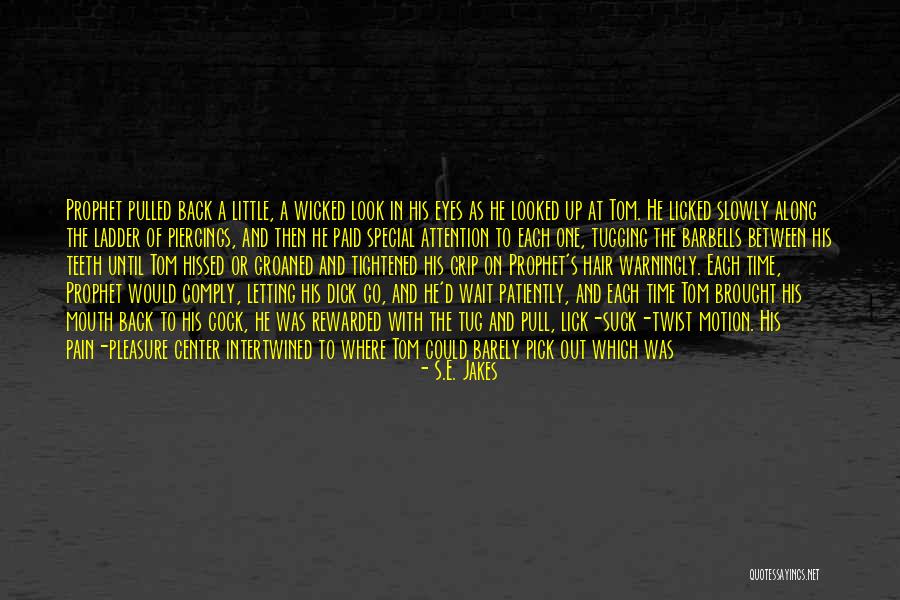 Just A Little More Time Quotes By S.E. Jakes Just A Little More Time Quotes By S.E. Jakes