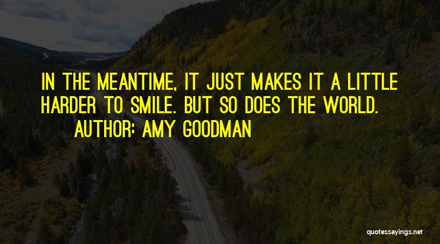 Just A Little Smile Quotes By Amy Goodman