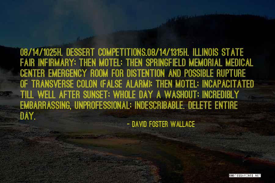 Just After Sunset Quotes By David Foster Wallace