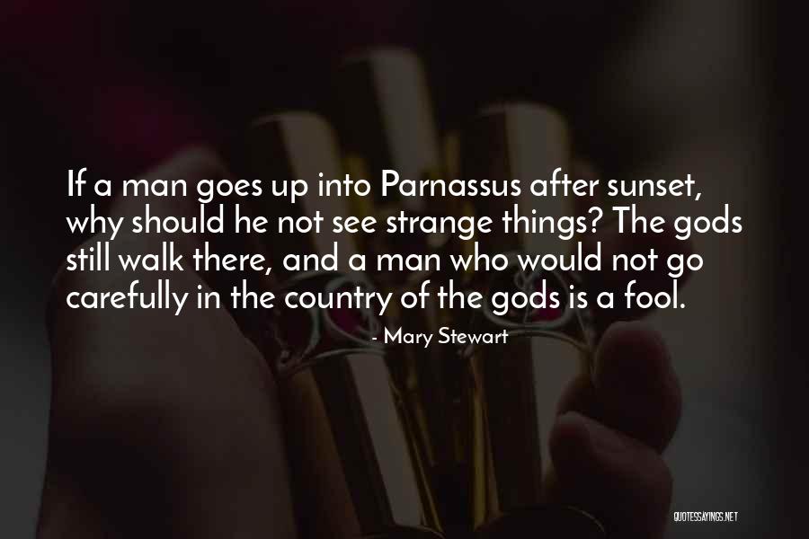 Just After Sunset Quotes By Mary Stewart