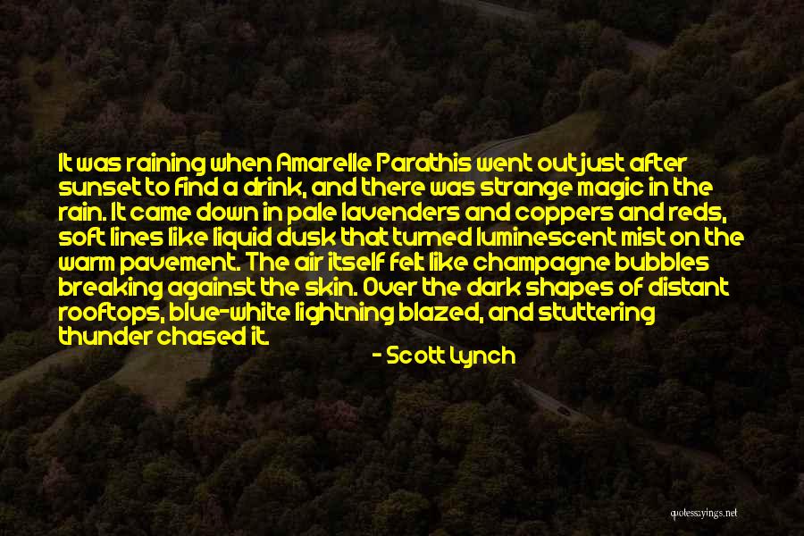 Just After Sunset Quotes By Scott Lynch