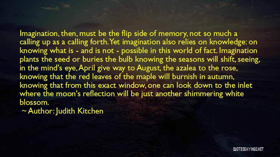 Just Another Memory Quotes By Judith Kitchen