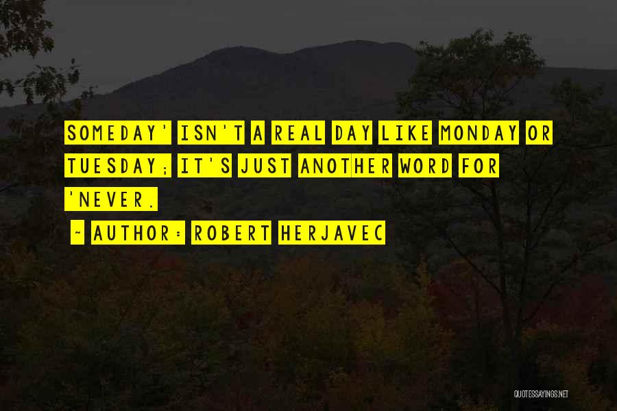 Just Another Monday Quotes By Robert Herjavec