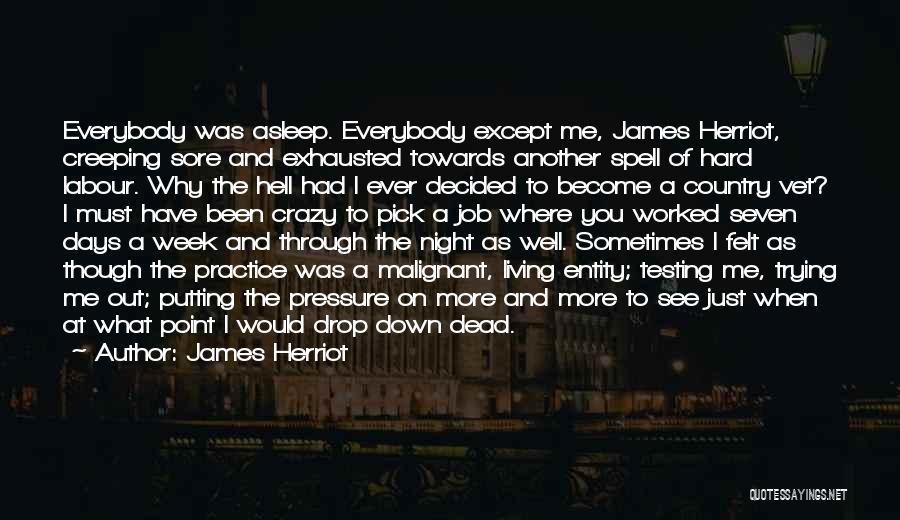 Just Another Night Quotes By James Herriot