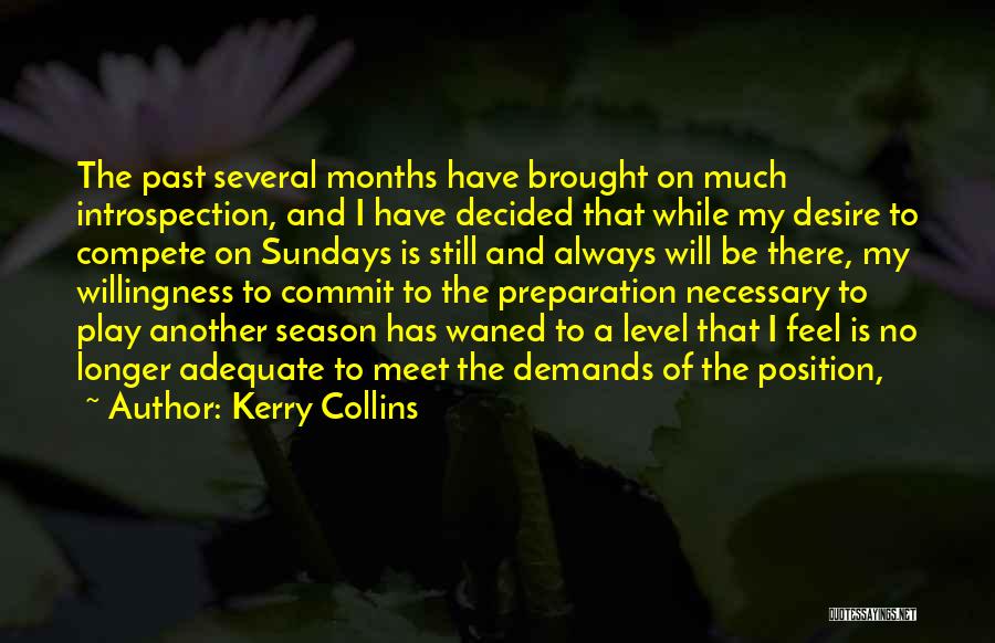 Just Another Sunday Quotes By Kerry Collins