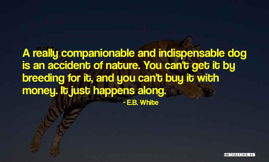 Just B E Quotes By E.B. White Just B E Quotes By E.B. White