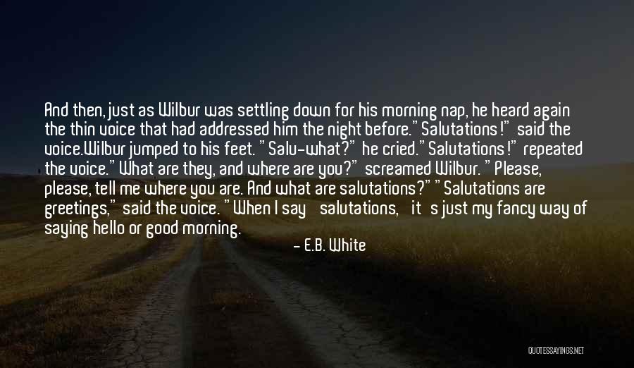 Just B E Quotes By E.B. White Just B E Quotes By E.B. White