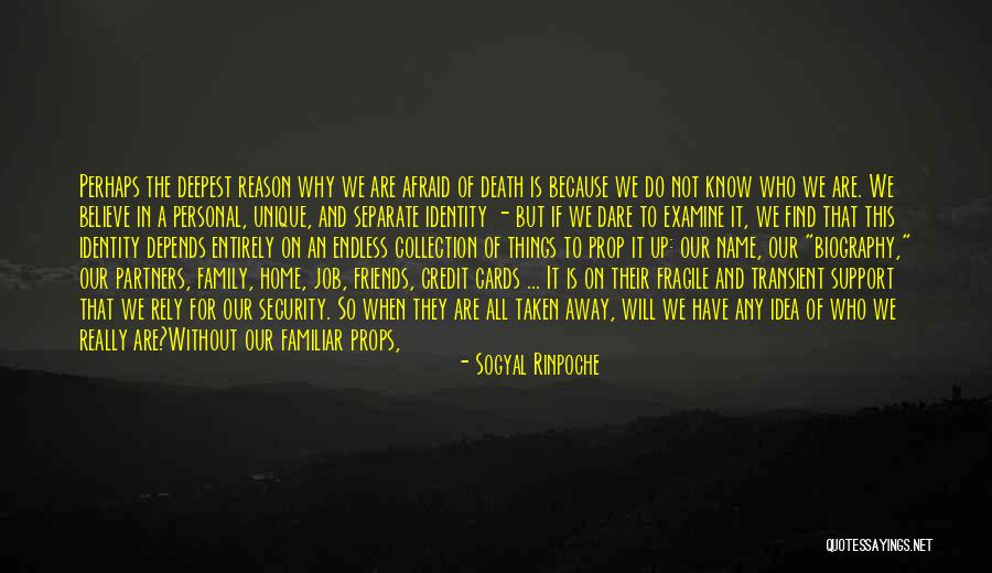 Just Because Cards Quotes By Sogyal Rinpoche Just Because Cards Quotes By Sogyal Rinpoche